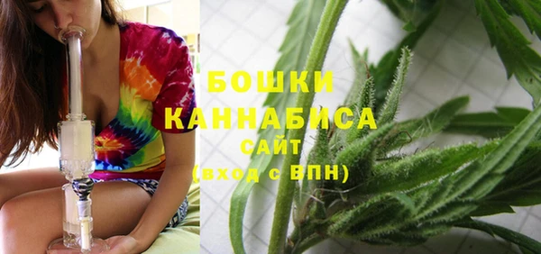 гидра Лагань