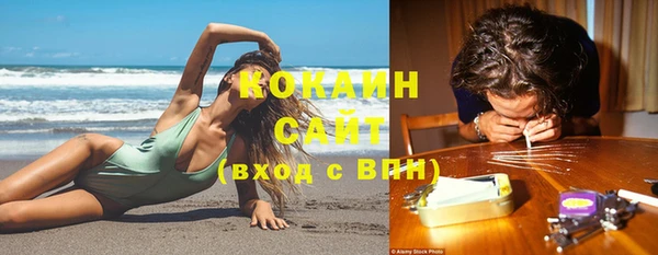 гидра Лагань