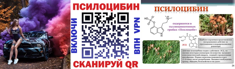 Галлюциногенные грибы Cubensis  купить   Кувандык 