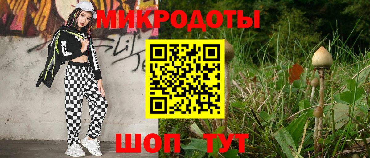 Псилоцибиновые грибы Psilocybine cubensis Кувандык