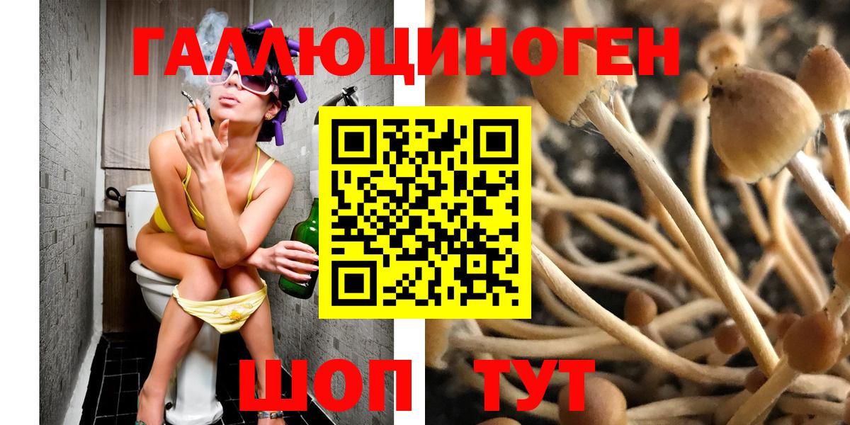 Псилоцибиновые грибы мицелий  Псилоцибиновые грибы Psilocybe  Кувандык  Вход с VPN 